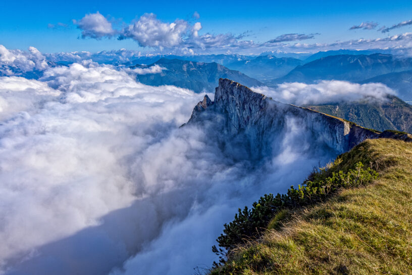 Schafberg / 2021-10 Foto des Monats - Christoph Reiter