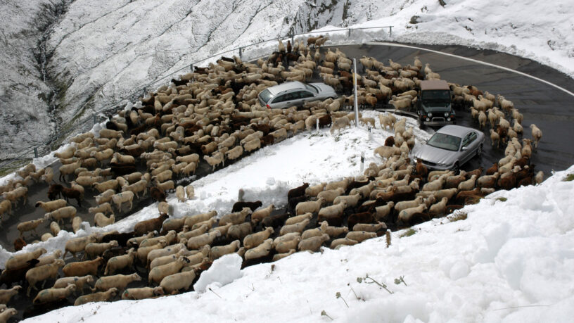 am Furkapass / 2022-01 Foto des Monats - Johann Schrittwieser