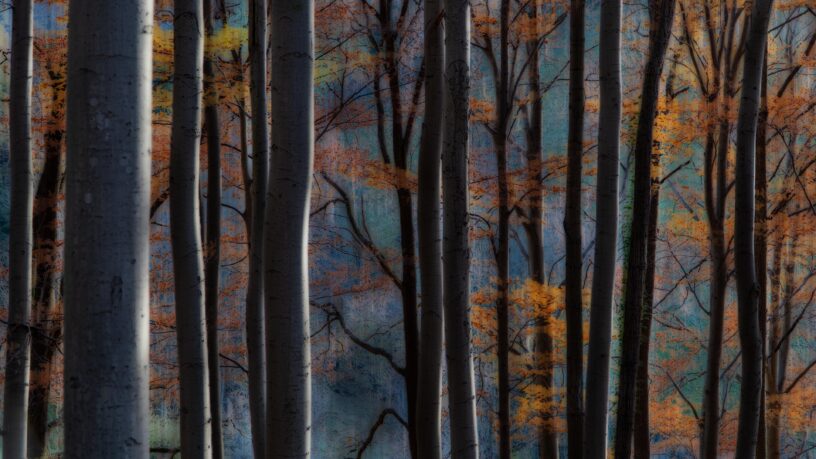 Herbst / 2022-02 Foto des Monats - Leopold Mayer