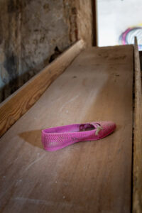 Lost Shoe