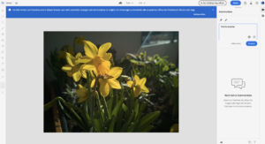 Photoshop Web Ansicht mit Kommentarfunktione