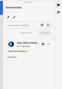 Kommentar in PS-Web verfassen