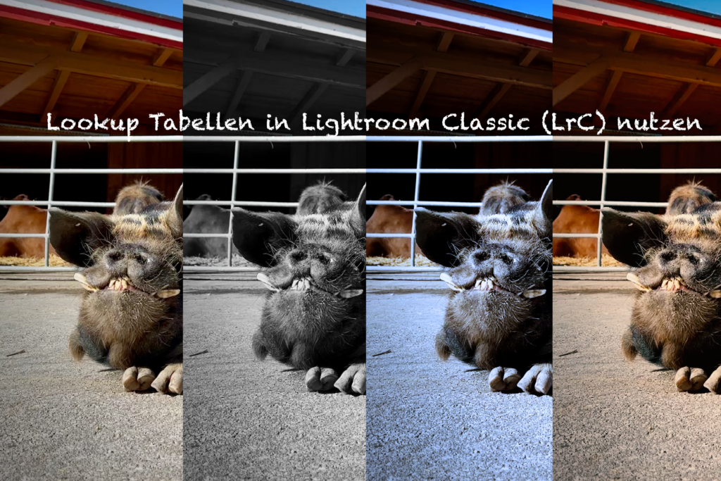 LUTs in Lightroom Classic importieren