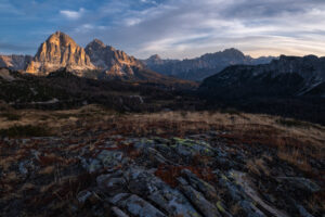 Barbara Seiberl-Stark