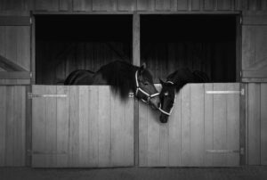 cheerup neighbour / Nachbarschaft - Alexander Braun