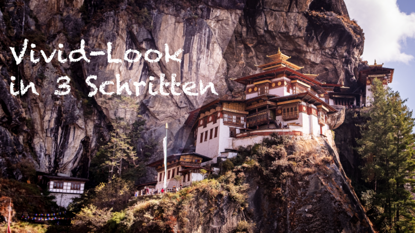 Vivid Look in 3 Schritten
