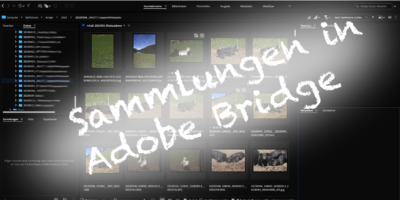 Adobe Bridge - Sammlungen bzw. Smartsammlungen anlegen