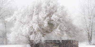 2026-01 Mayer Edda - Winterzauber