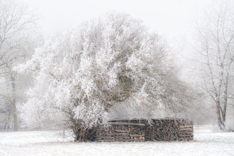 2026-01 Mayer Edda - Winterzauber